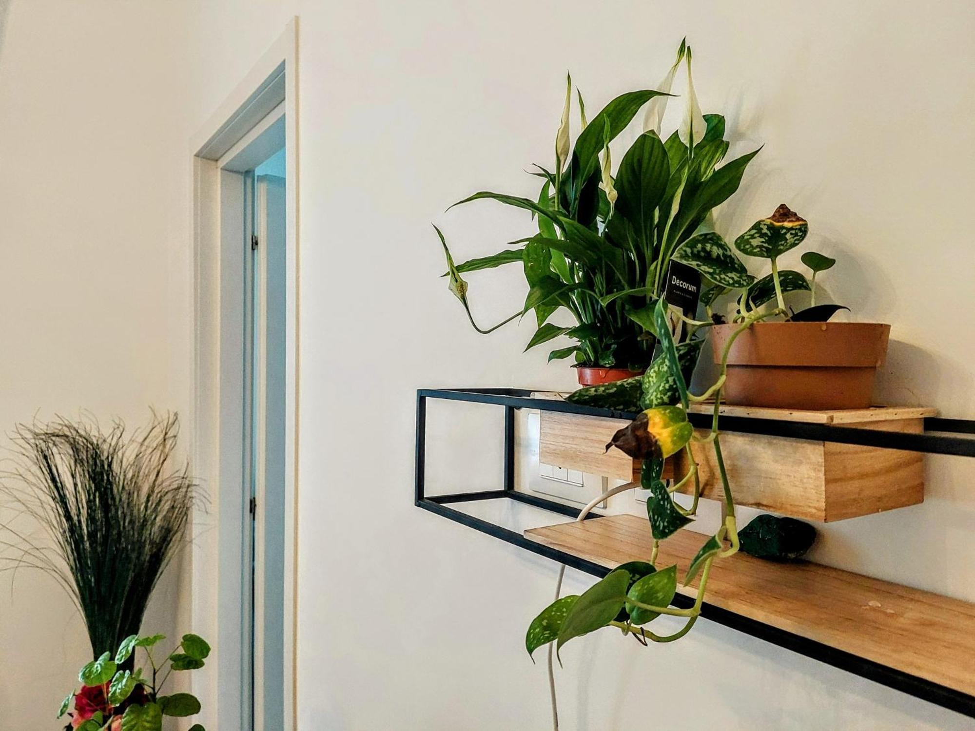 City Apartment - Il Ghiro Floransa Dış mekan fotoğraf